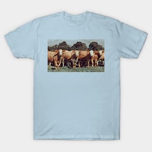 Cow Many? T-Shirt